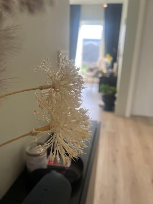Golden Circle House 1 Apartman Selfoss Kültér fotó
